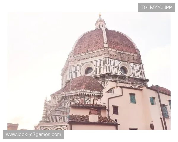 佛罗伦萨足球俱乐部历史与文化的深度解析及未来发展展望
