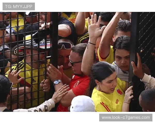 美国世界杯热潮下的球迷狂欢与赛事影响全面解读